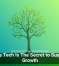 Scalable Tech Is The Secret to Sustainable Growth
